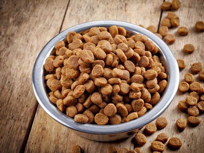dog food